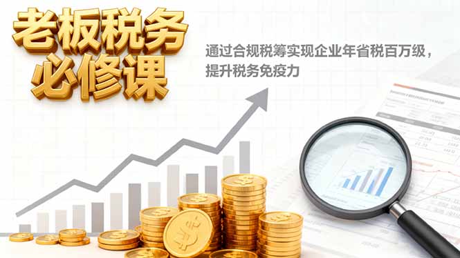 老板税务必修课，通过合规税筹实现企业年省税百万级，提升税务免疫力-金钱豹